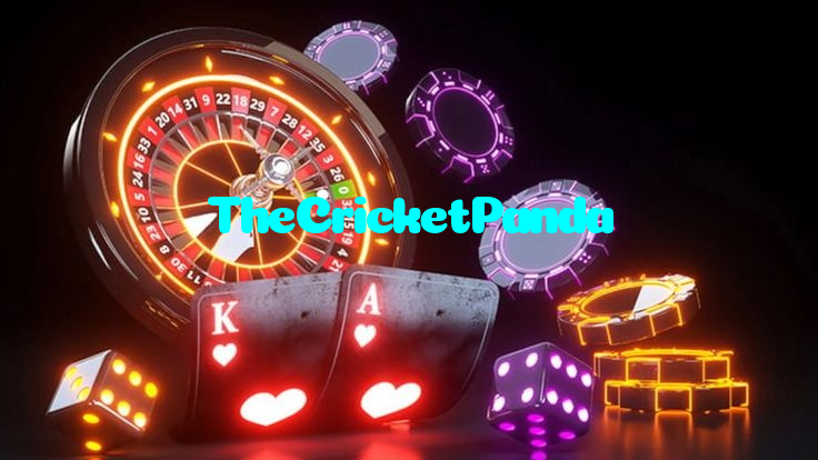 available types of TheCricketPanda bet including pre-match live express and system bets