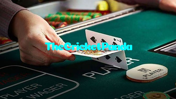 TheCricketPanda خوش آمدید بونس +600% پیشکش موبائل ایپ کے پروموشن سیکشن میں دکھائی دیتی ہے۔